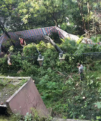 ¼Ҽװ޵۵Σ¥Ĳɹⶼ