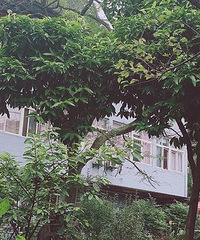 打探南山某养老院归来,单间2千多