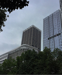 去杨家坪浇花,转了一下,发现变化有点大