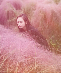 ԼĽë̫ϡ裬˽ë۾һȦ඼ÿЩ