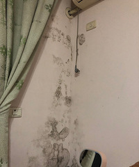 我家的墙壁还有救吗?简直没眼看了
