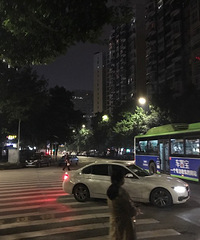 【直播】坝哥夜逛冉家坝,打探源著天街至绿城兰园的距离