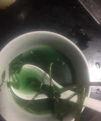 藤藤菜煮出来这个颜色,正常吗