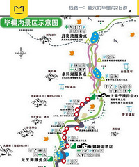 最美毕棚沟,秋意正浓,蓝天,雪山,金灿灿的黄叶,人间仙境!