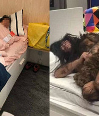 网曝光宜家有人躺床上