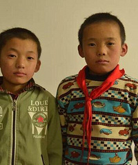 ̷¼ʮ꣬׻ܾ֢ţͷƵ򲻾