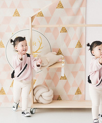 лһͬ˫̥ʹ࣬һжֵ