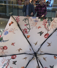 99һ�ѵĽ�������ɡ��Ҫ��ĸϽ�Ӵ