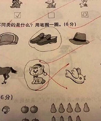 Сѧһ꼶òԣȷ𰸿ɶ