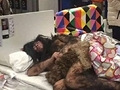 北京宜家惊人一幕