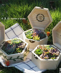 �����������Щ�����ҹ��ﳵ��ĳ���ϲ�Ǻ���~