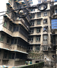 ���������Զ�ʮ��������ƾɸ�����