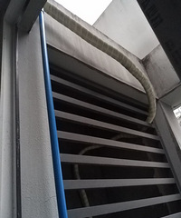 յʦΪ׬ͭǮ඼ֱ