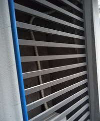 յʦΪ׬ͭǮ඼ֱ