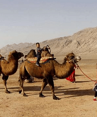 йĿҵôţƣΪʲôΨ½ʣ