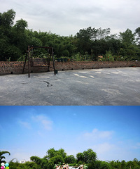 为了一场完美的坝坝宴婚礼,老公提前半年在屋前给我种了个小花园