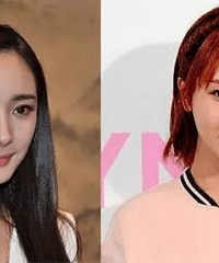 ������ͶƱ��ת�����ݷ�������