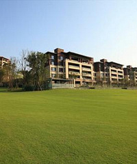 Ƽ帽׶԰СҪǧ̫࣬