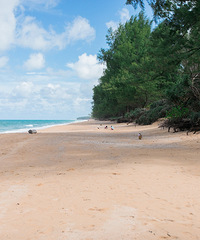 �Ǻ����ҿ�����~~0Ԫ��Ʊ��̩��+��������μǴ���