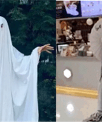 ����͢�����ʥ��cosӮ��