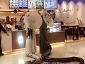 ��ʥ�ڸ��������Ӯ��