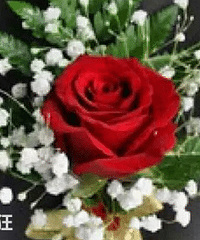 ���︸ĸ��ʲô�ػ������ʱ���︸ĸ�ػ���ô����