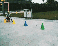 ƽ⳵pukyƽ⳵kokuaĸʺϺ