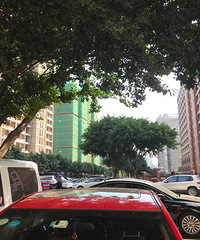 ����·���̳��m԰�������븾�ױ���Ժ������Щ���룬û��ô���