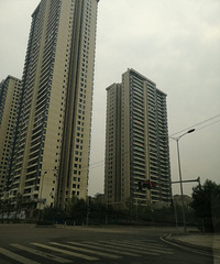 这个小区外立面看着如何