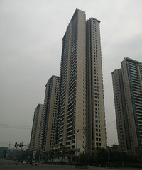 ���С�������濴�����