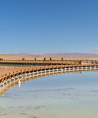 6000ʱ13-Ŷ2018ߣϣ+ֲе