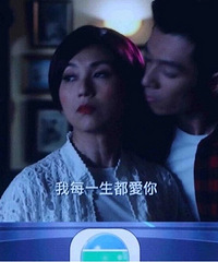 TVB2019 �¾��¯�����Ĳ�