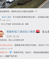 交警回应小车闯红灯撞死小狗:将调取监控处理车主闯红灯违法行为
