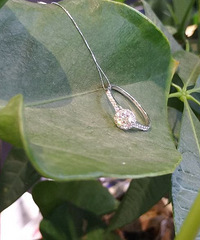 �����ҵĳ������������ݡ���