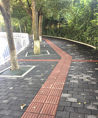 和我在渝北的街头走一走