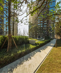 没了约克郡,照母山还有扛把子