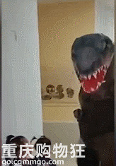 ðְֵİΪиŮĳŵְְɿѧ