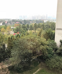 打算买这个小区,绿化也可以,比较安静