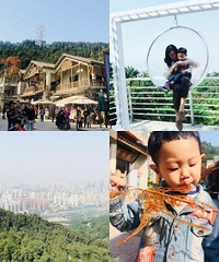 南山新开的公园,有吃又有耍
