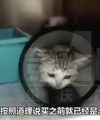宠物携带病菌,老板怪我个人要买