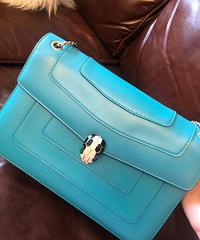 ��˵���ΰٲ�����Щ���ŵİ����Ҷ��У���ɫ�����������ҵ���ͷ��