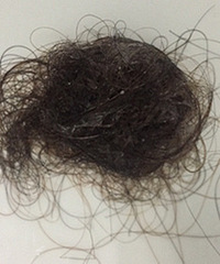 ÿϴͷо˼ٸʲôҵͷ