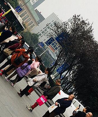 这是我见过最守规则的乘车人了