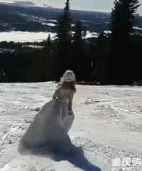 �������ġ��������񡱣���Щ��ů�ؼ�Ҫ�ղ�