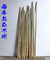 ��ֻ���ʣ��ж���������ܹ���ֲ��򲻺��޶���