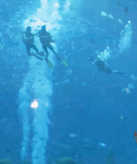 �����ӵ��������С������չ٣��ڳ�������������ס�����оƵ�