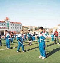 ׼޶·ĶԿѧУҪЩſԣ