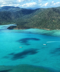 �����뺣��������Ů��ʥ��Ⱥ��������+�ֲ����е�