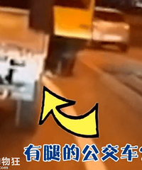 有腿的公交车?俄罗斯4个年轻人为过桥伪装成公交车