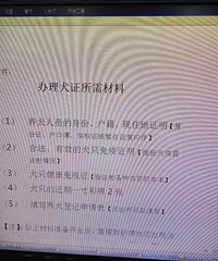 从今天开始,我们狗子是有户口的汪了!流程并不复杂,也不收费哦